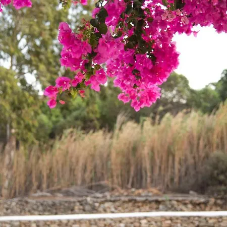 Apartment Island House Mare Mylopotas