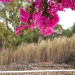 شقة Island House Mare مِلوبوتاس