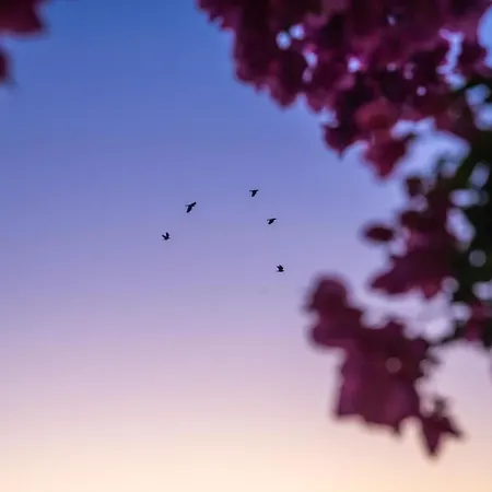 Island House Mare Apartamento