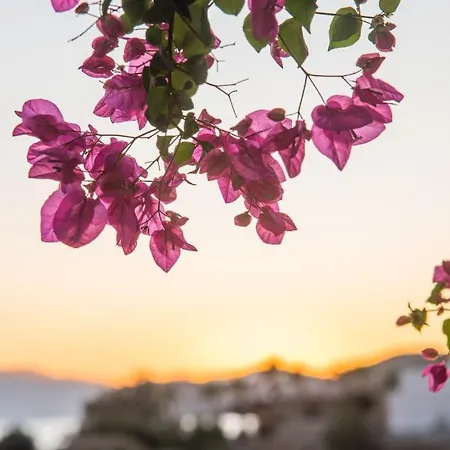 Island House Mare Apartamento Mylopotas