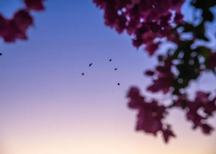 Island House Mare شقة