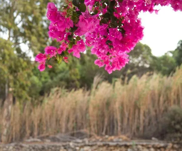 Lejlighed Island House Mare Mylopotas